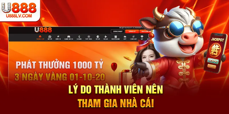 Lý do thành viên nên tham gia nhà cái